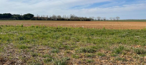 1956m² Land in Vendee, France No. 293451 2