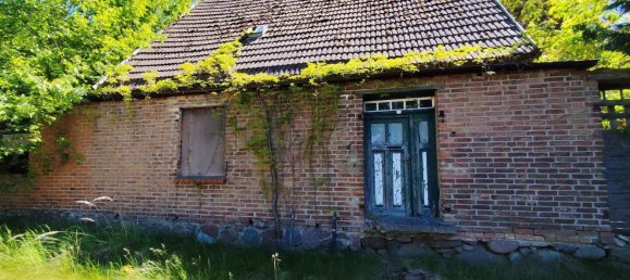 3غرفة منزل في Mecklenburgische Seenplatte, Germany رقم 275212 16