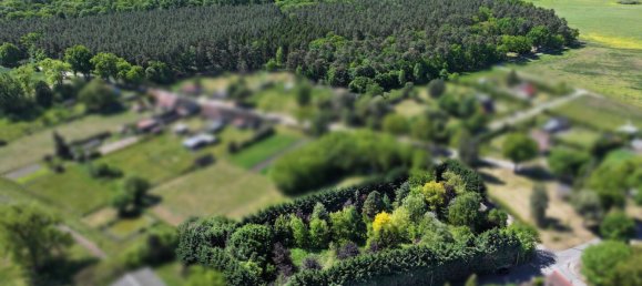 3غرفة منزل في Mecklenburgische Seenplatte, Germany رقم 275212 4