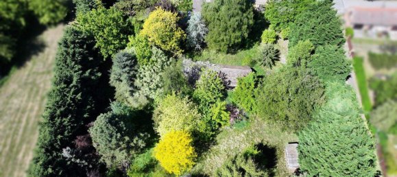 3غرفة منزل في Mecklenburgische Seenplatte, Germany رقم 275212 7