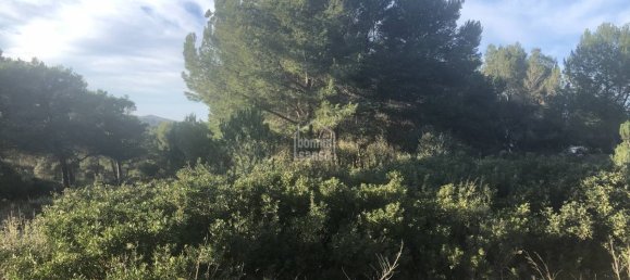 Grundstück in Es Mercadal, Spain 2213m², Nr. 5271 5