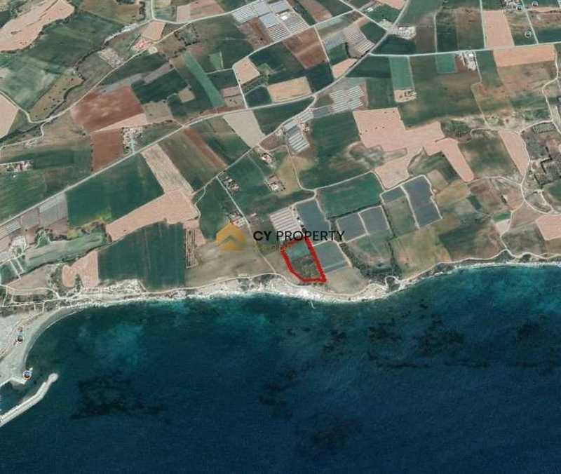 Grundstück in Mazotos, Cyprus, Nr. 13274