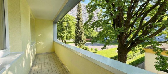 3-Zimmer Wohnung in Linz, Austria, Nr. 247313 2