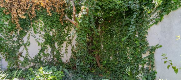 4 bedrooms House in Peligros, Spain No. 151149 37