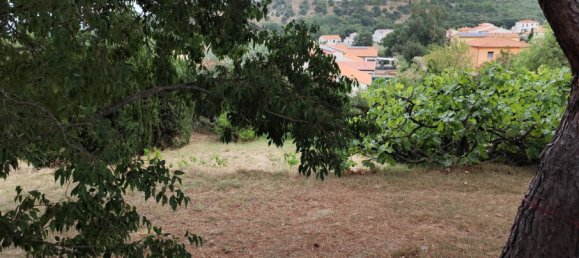 404m² Land in Montesquieu-des-Alberes, France No. 325008 3