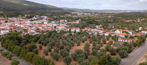 4 bedrooms House in Torres Novas, Portugal No. 30142 5