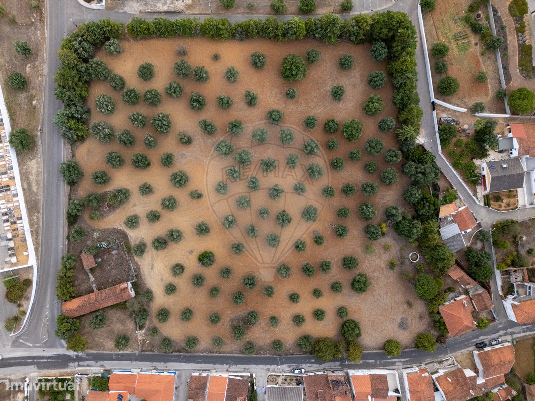 4 bedrooms House in Torres Novas, Portugal No. 30142