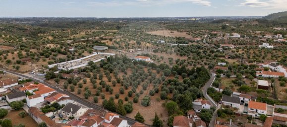 4 bedrooms House in Torres Novas, Portugal No. 30142 3