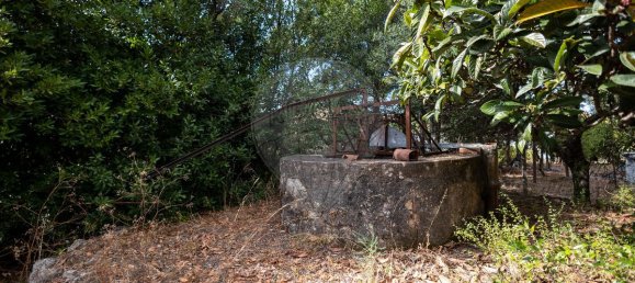 4 bedrooms House in Torres Novas, Portugal No. 30142 19