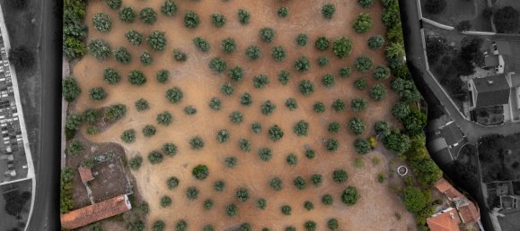 4 bedrooms House in Torres Novas, Portugal No. 30142 2