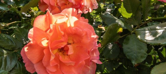 3 rooms Apartment in Haidershofen, Austria No. 151438 16