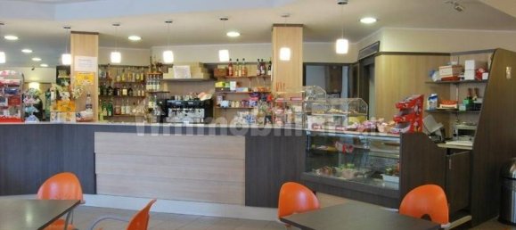 1 room Commercial property in Lucca, Italy No. 25704 4