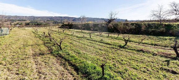 9 Schlafzimmer Haus in Peraboa, Portugal, Nr. 66602 32