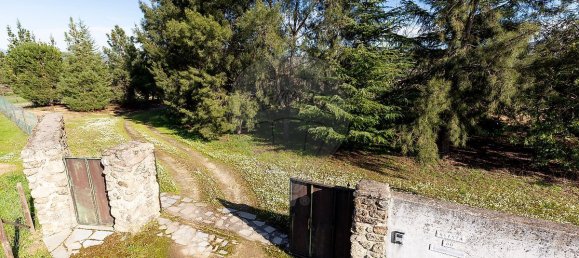 9 Schlafzimmer Haus in Peraboa, Portugal, Nr. 66602 37