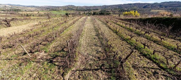 9 Schlafzimmer Haus in Peraboa, Portugal, Nr. 66602 33