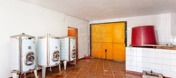 9 Schlafzimmer Haus in Peraboa, Portugal, Nr. 66602 23