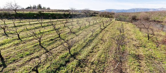 9 Schlafzimmer Haus in Peraboa, Portugal, Nr. 66602 31