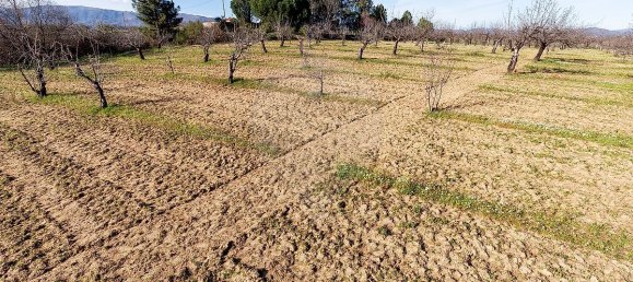 9 Schlafzimmer Haus in Peraboa, Portugal, Nr. 66602 41
