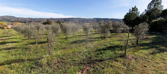 9 Schlafzimmer Haus in Peraboa, Portugal, Nr. 66602 29