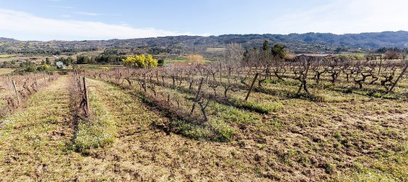 9 Schlafzimmer Haus in Peraboa, Portugal, Nr. 66602 34