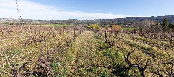 9 Schlafzimmer Haus in Peraboa, Portugal, Nr. 66602 35