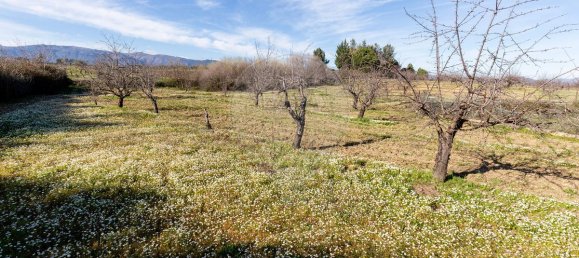 9 Schlafzimmer Haus in Peraboa, Portugal, Nr. 66602 39