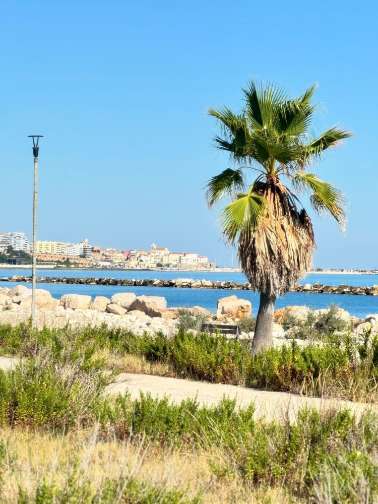 290m² Building in Termoli, Italy No. 368079