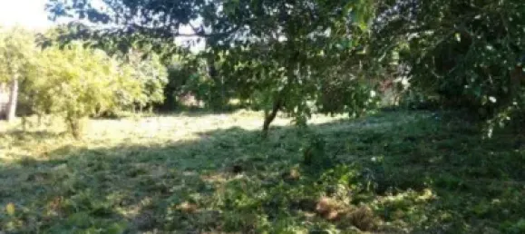 5 Schlafzimmer Haus in O Pino, Spain, Nr. 142504 7