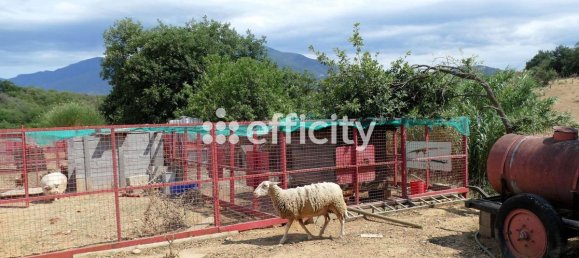 Grundstück in Tresserre, France 67840m², Nr. 88559 18
