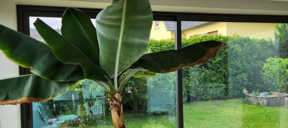 5 غرف نوم منزل في Wasselonne, France رقم 57942 9