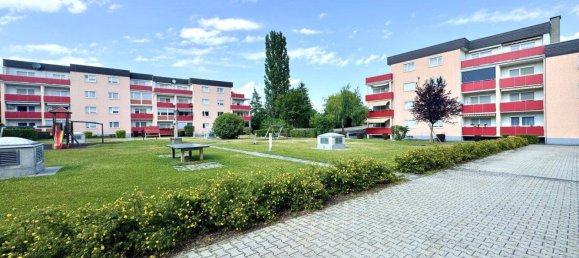 2 rooms Apartment in Wetzelsdorf, Austria No. 152572 2