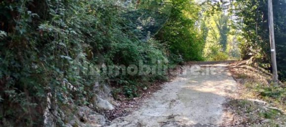 2 rooms Apartment in Cittiglio, Italy No. 67881 15