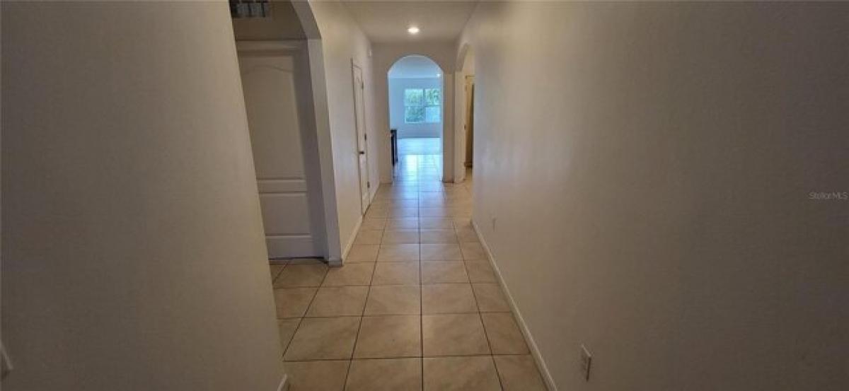 4 bedrooms House in New Smyrna Beach, USA No. 388396