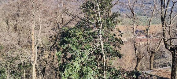 3غرفة شقة في Scanzorosciate, Italy رقم 238038 4