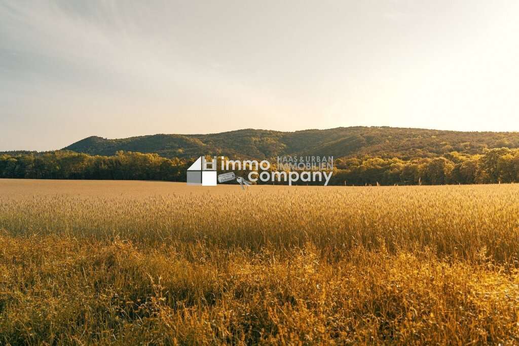 Земельный участок 600м² в Хундсхайм, Австрия № 104793