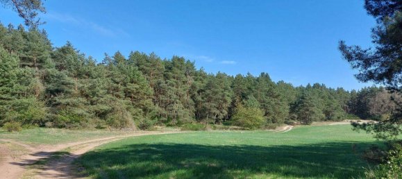 Casa de 3 dormitorios en Vorpommern-Greifswald, Germany No. 330348 23