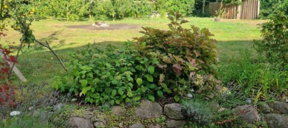 Casa de 3 dormitorios en Vorpommern-Greifswald, Germany No. 330348 6