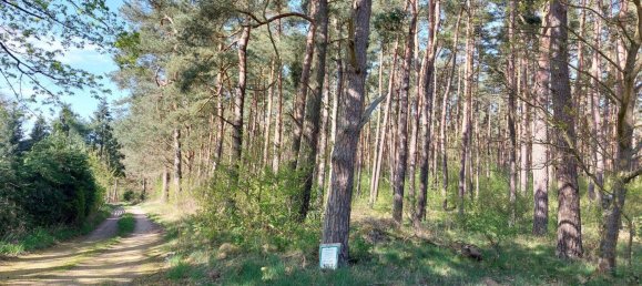 Casa de 3 dormitorios en Vorpommern-Greifswald, Germany No. 330348 22