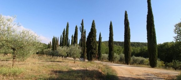 8غرفة منزل في Monteriggioni, Italy رقم 135560 49