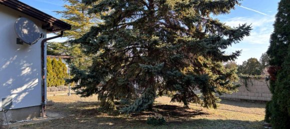 5 rooms House in Morbisch am See, Austria No. 192330 21