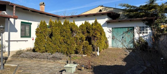 5 rooms House in Morbisch am See, Austria No. 192330 20