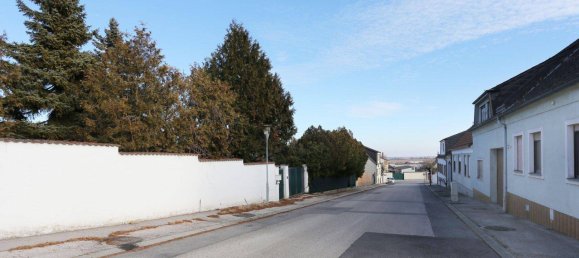 5 rooms House in Morbisch am See, Austria No. 192330 28