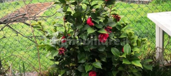 Apartamento T7 em Quiliano, Italy N.º 96965 3