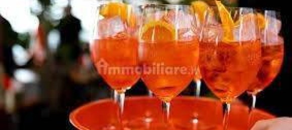 70m² Commercial property in Chioggia, Italy No. 228464 14