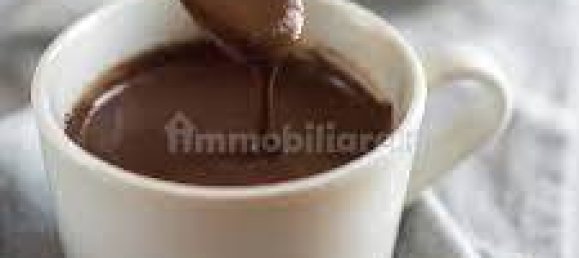 70m² Commercial property in Chioggia, Italy No. 228464 8