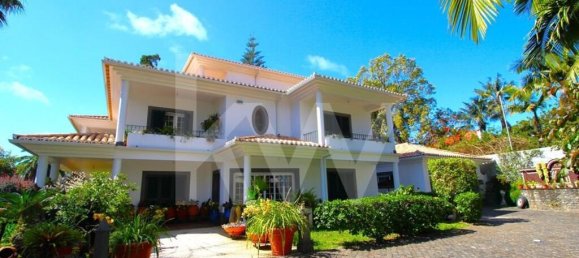 7 Schlafzimmer Haus in Funchal, Portugal, Nr. 84784 11