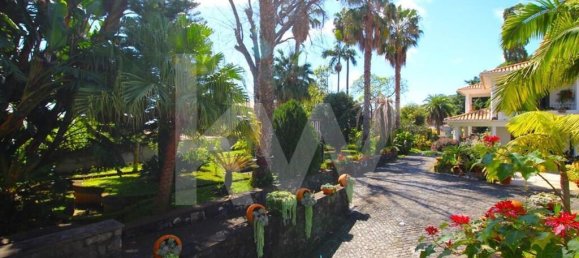 7 Schlafzimmer Haus in Funchal, Portugal, Nr. 84784 9