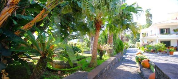 7 Schlafzimmer Haus in Funchal, Portugal, Nr. 84784 47