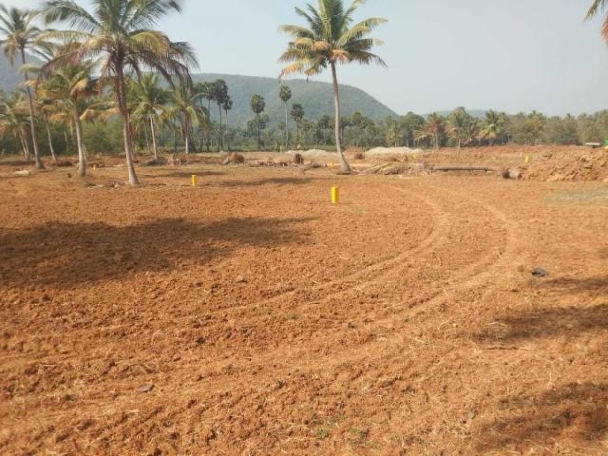  Land in Visakhapatnam, India No. 40943