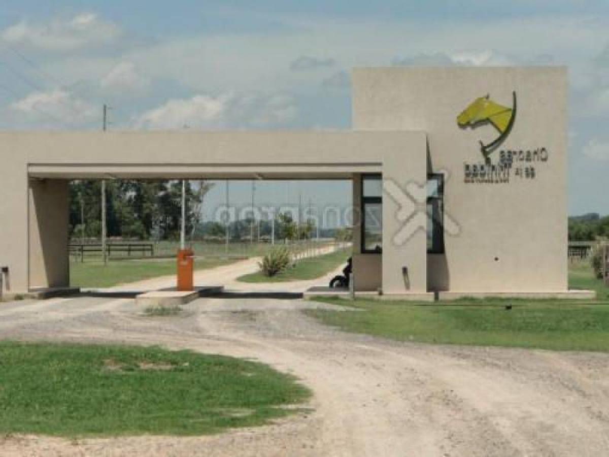  Land in Canuelas, Argentina No. 31914